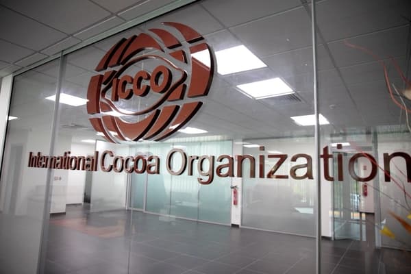 ICCO International Cocoa Organization