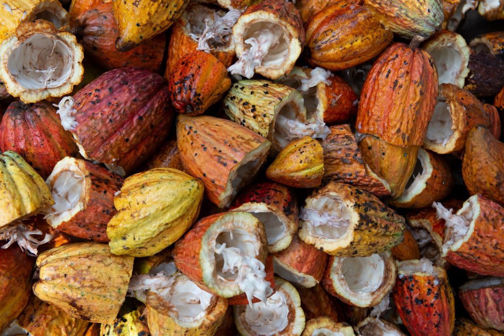Barry Callebaut Announces 'Wholefruit' Chocolate