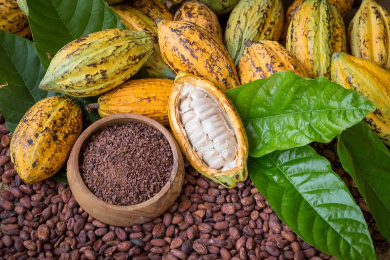 MARKET FOR CACAO BEANS STRONG, REPORT SHOWS