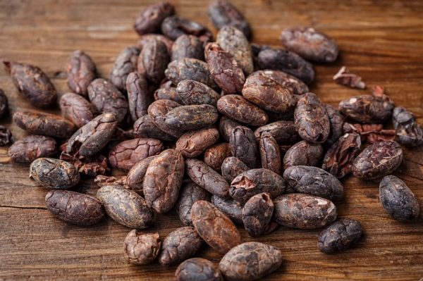 FUJI OIL AND BLOMMER CHOCOLATE LAUNCHED NEW COCOA SUSTAINABILITY INITIATIVES