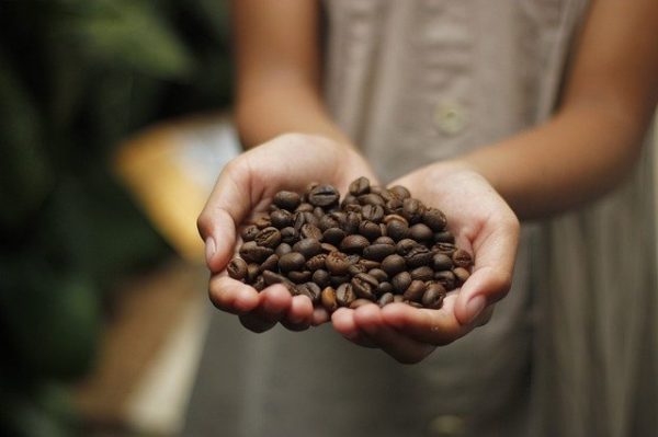 COFFEE PRICES FALL WHILE VOLATILITY SUBSIDES-ICO REPORT
