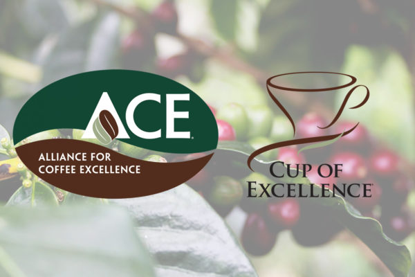 CUP OF EXCELLENCE GUATEMALA 2020 WINNER