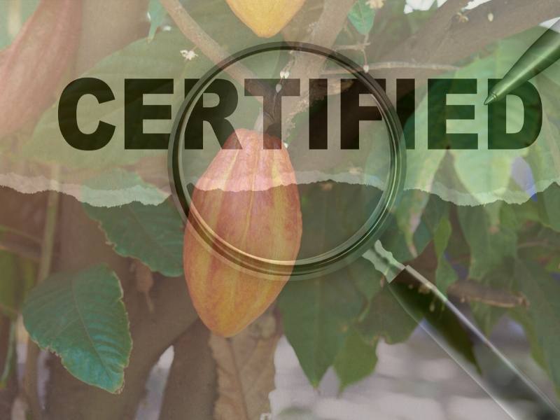 THE RAINFOREST ALLIANCE REVEALED ENHANCED CERTIFICATION PROGRAMME AND STANDARD