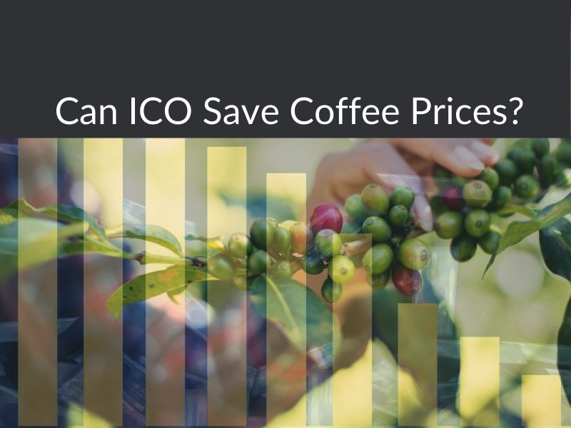 Can Ico Save Coffee Prices 1