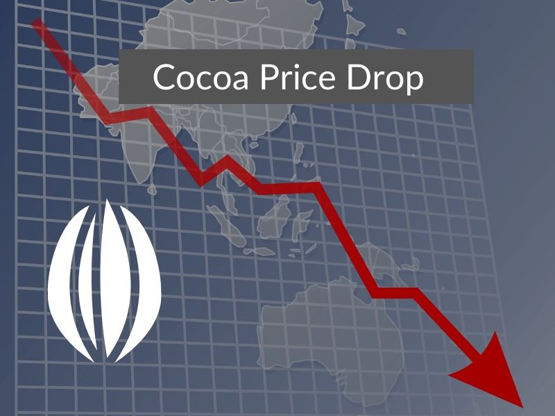 COCOA PRICES DECREASE AS COVID-19 WEAKENS DEMAND