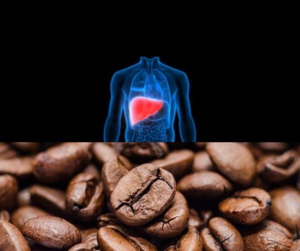 COFFEE MAY PROTECT YOUR LIVER- ACCORDING TO A NEW STUDY