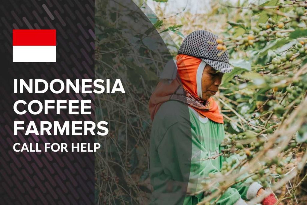 indonesia coffee farmer call for help