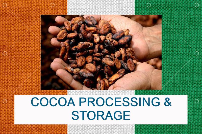 COTE D'IVOIRE TO INCREASE COCOA PROCESSING AND STORAGE CAPACITY