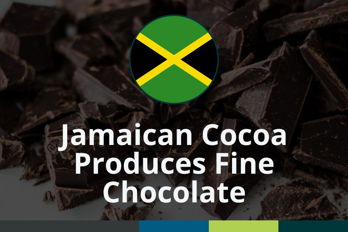 JAMAICAN COCOA PRODUCES FINE CHOCOLATE
