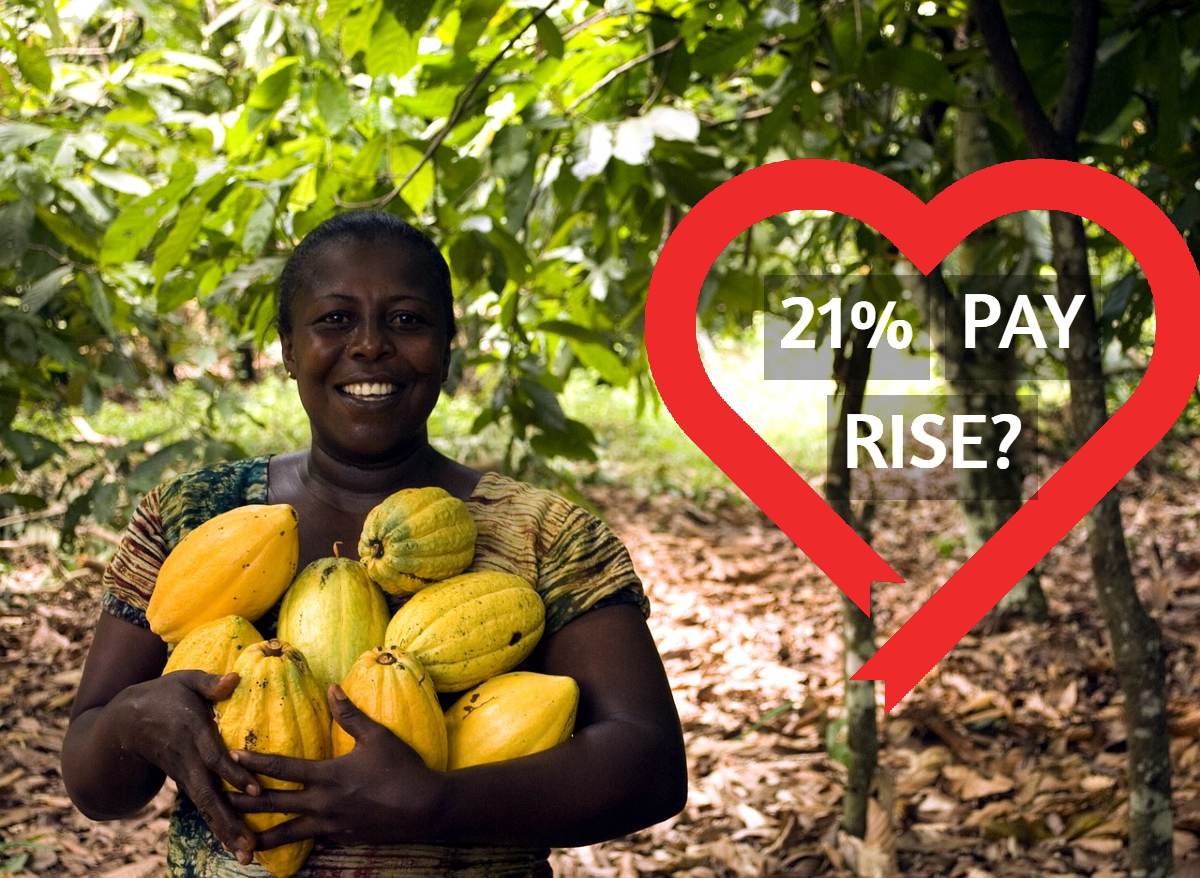 21% PAY RISE TO COCOA FARMERS IN GHANA