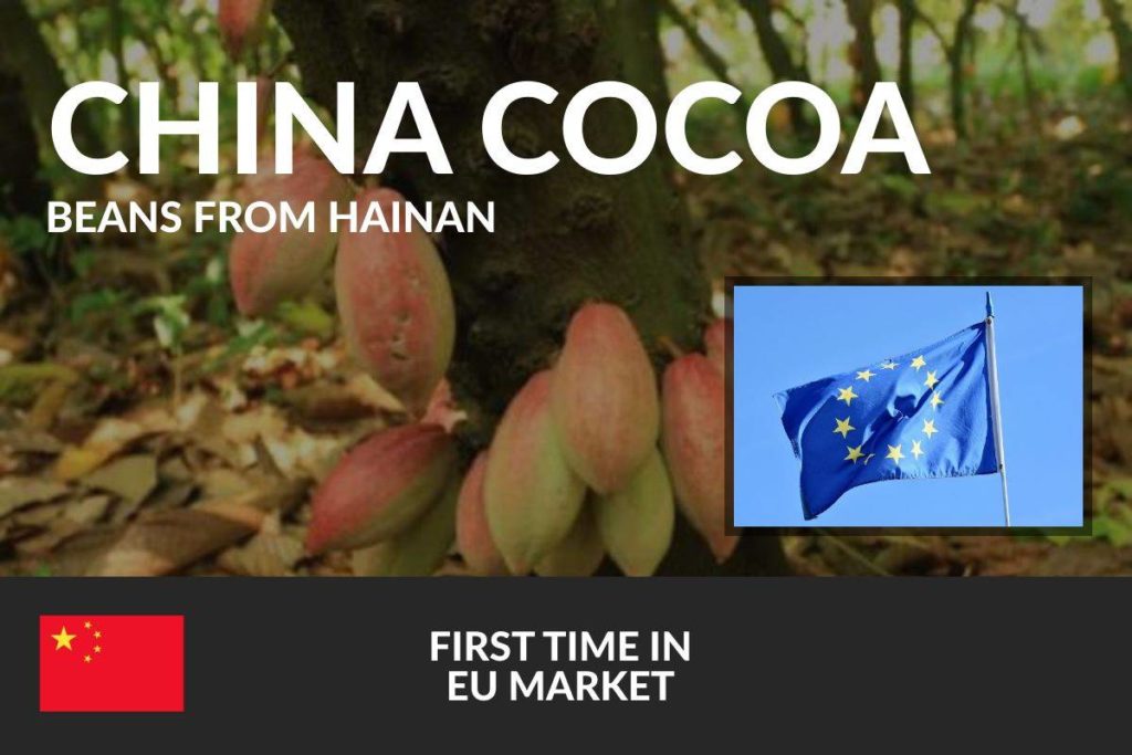 cocoa from china