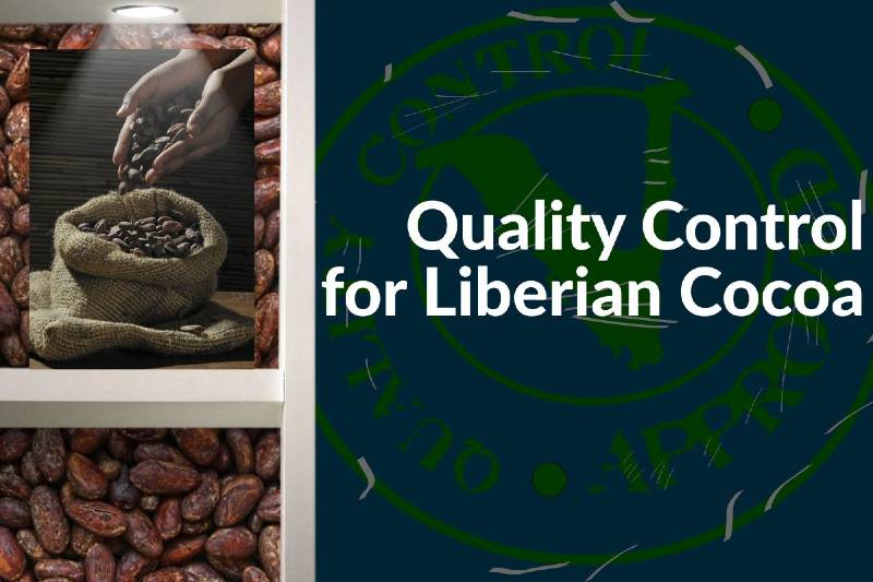LACRA SEEKS TO IMPROVE LIBERIAN COCOA SECTOR