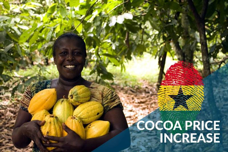 cocoa price increase