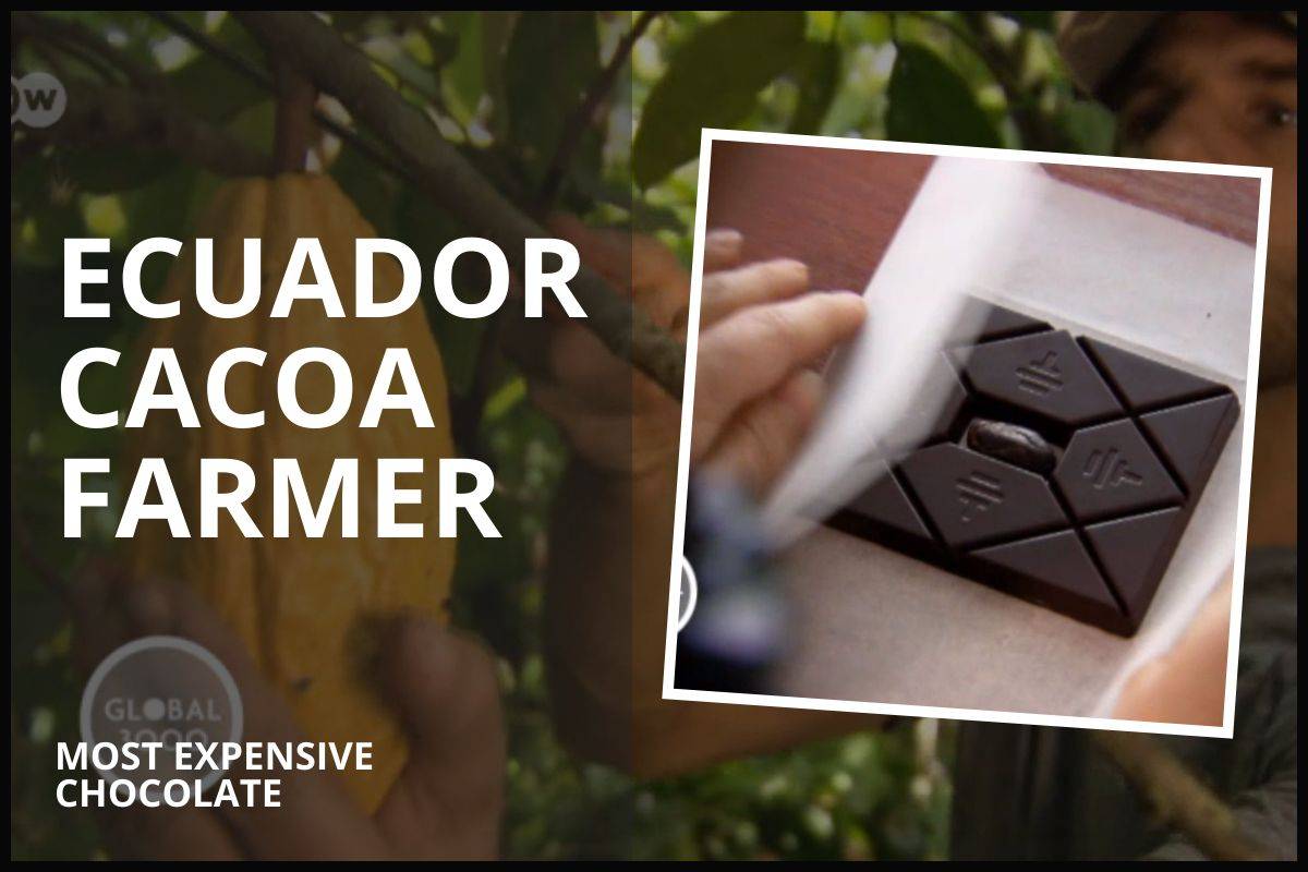 ECUADOR WORLDS MOST VALUABLE COCOA?