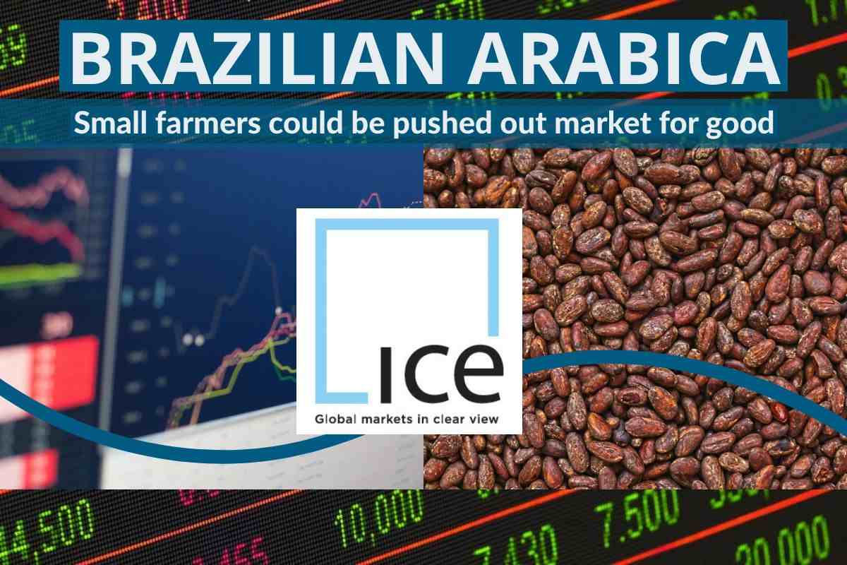 BRAZILIAN ARABICA FLOODS ICE FUTURE EXCHANGE