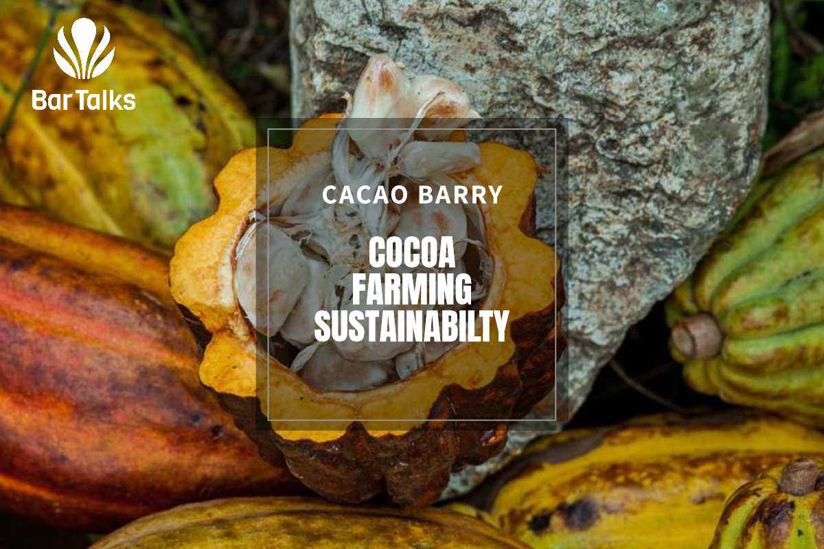 USA CACAO BARRY AMBASSADOR CHAMPIONS COCOA FARMING SUSTAINABILITY