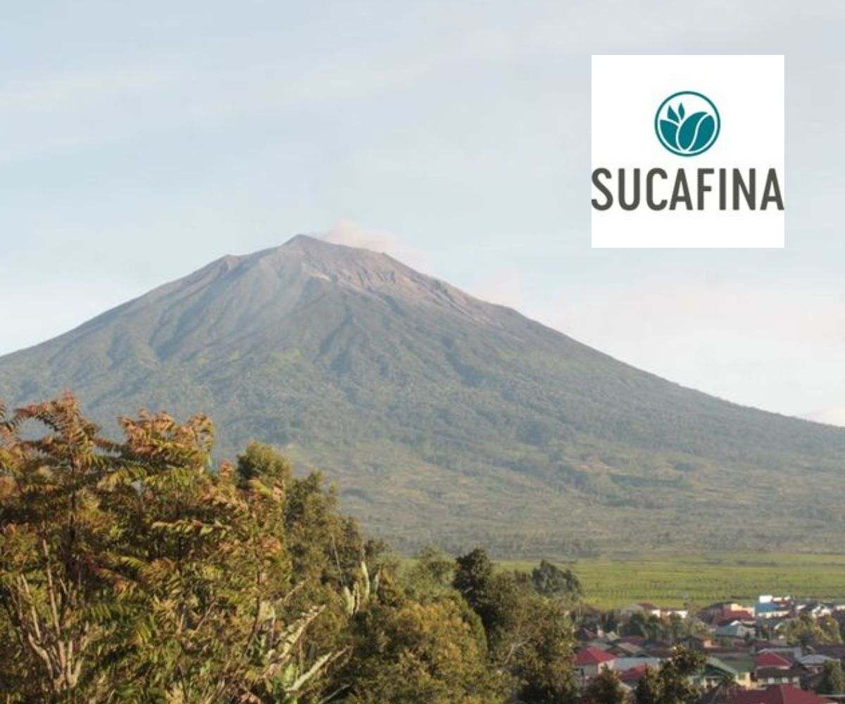 SUCAFINA BRINGS INDONESIA COFFEE TO THE WORLD