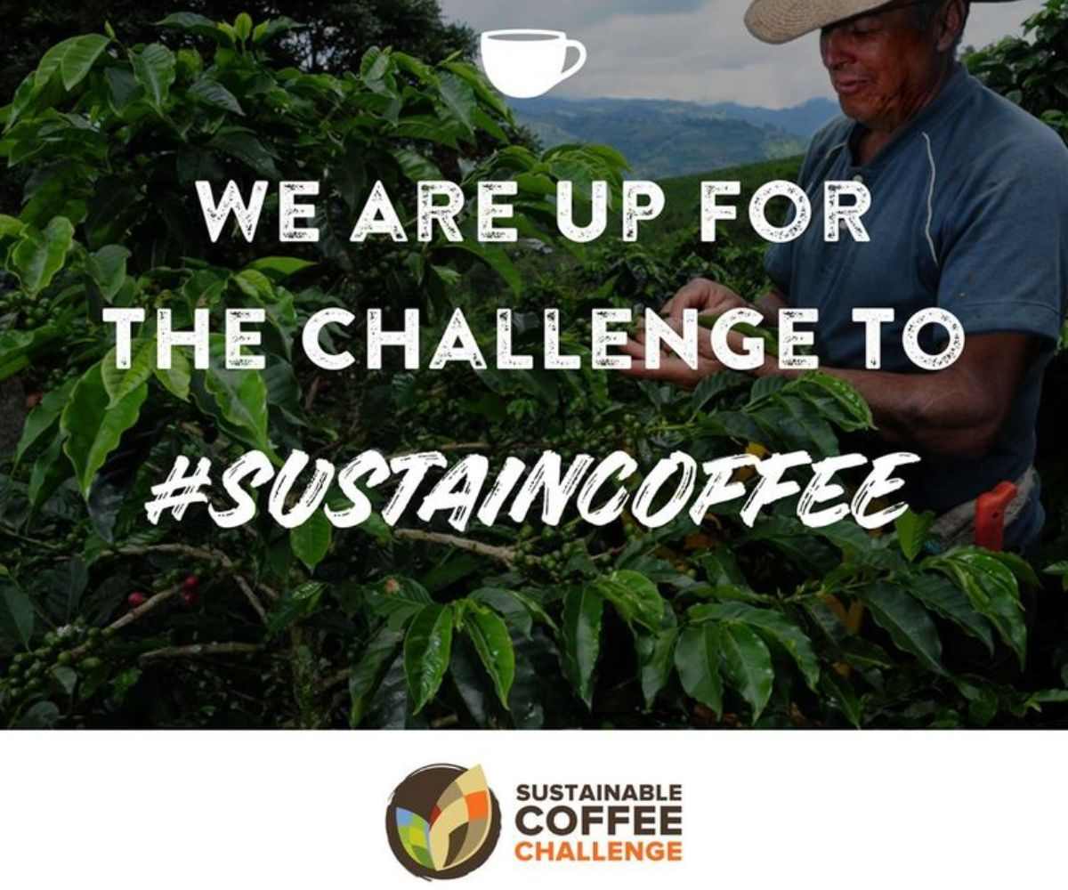 SUSTAINABLE COFFEE CHALLENGE OPTIMISTIC ABOUT COMPANIES COMMITMENT