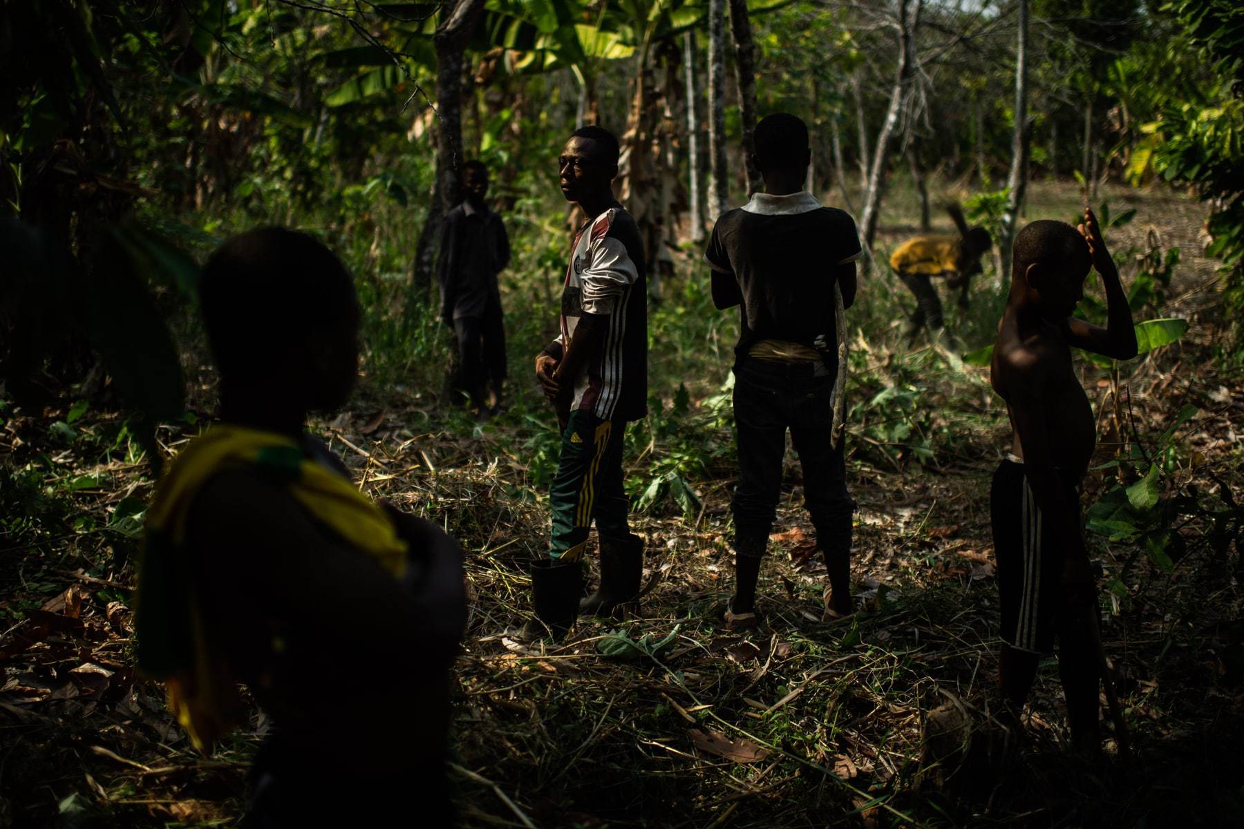CÔTE D’IVOIRE CHILD LABOUR TRAFFICKERS ARRESTED