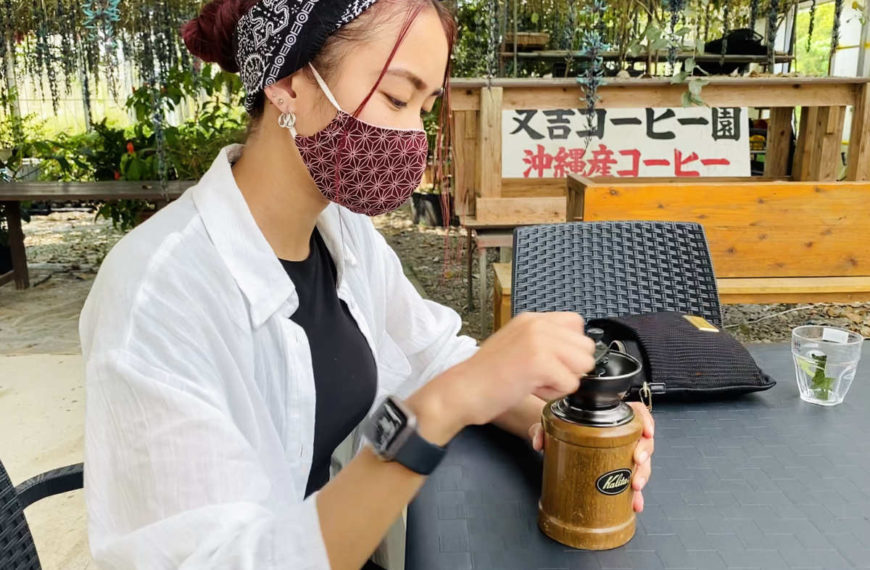 VISIT TO THE MATAYOSHI OKINAWA COFFEE FARM – PART II