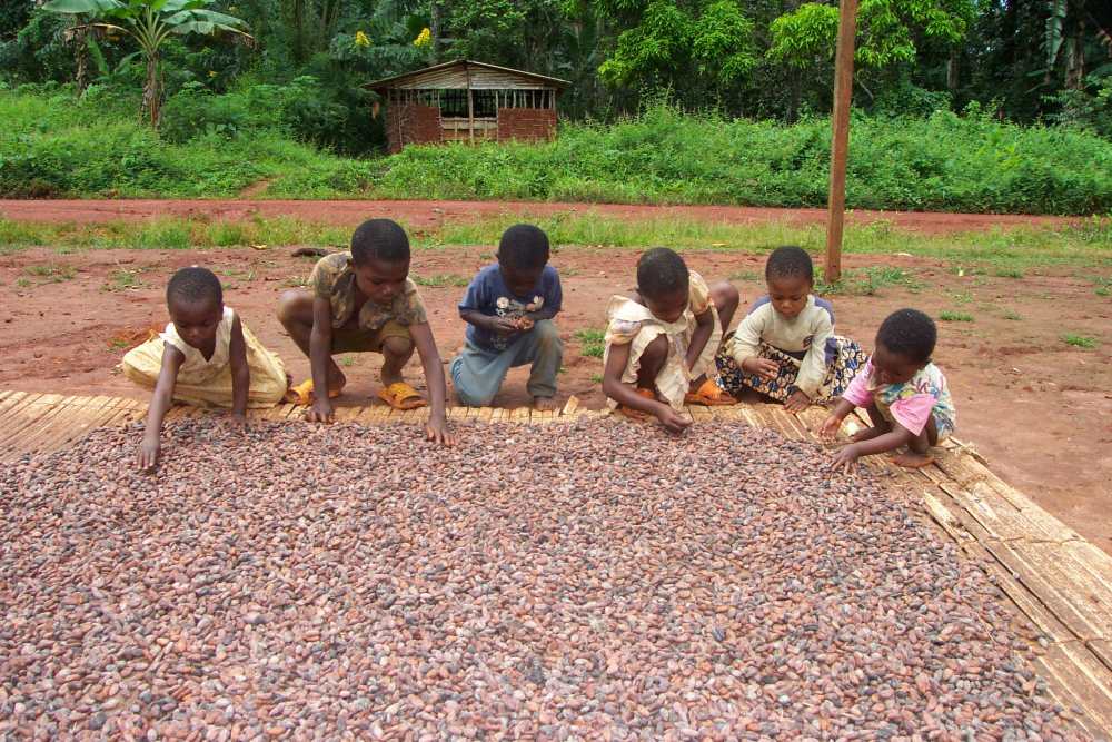 JAIL SENTENCES FOR 22 PEOPLE CONVICTED OF USING CHILD LABOUR IN CÔTE D'IVOIRE
