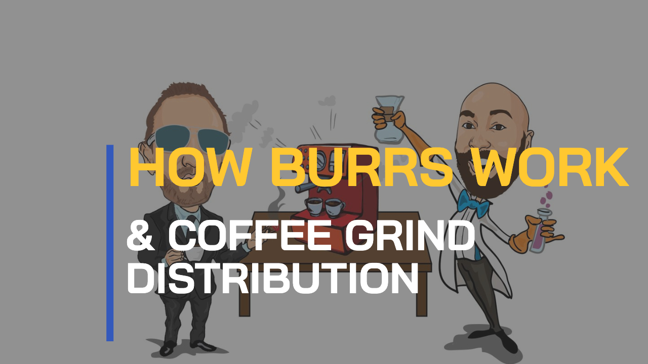 Burrs and Grind Distribution