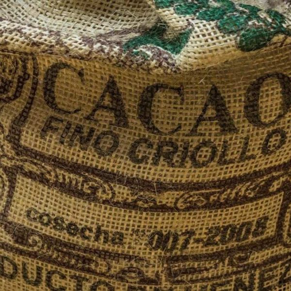 Le chaînon manquant du cacao asiatique