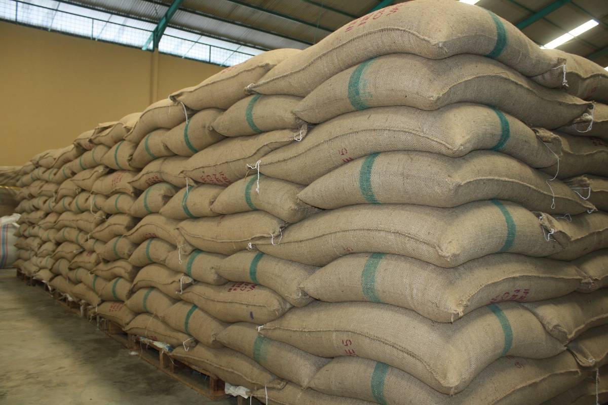 SHORTAGE OF JUTE BAGS IN NIGERIA IMPACT COCOA EXPORTS