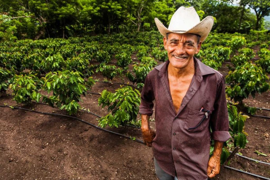 agricultor de café de honduras