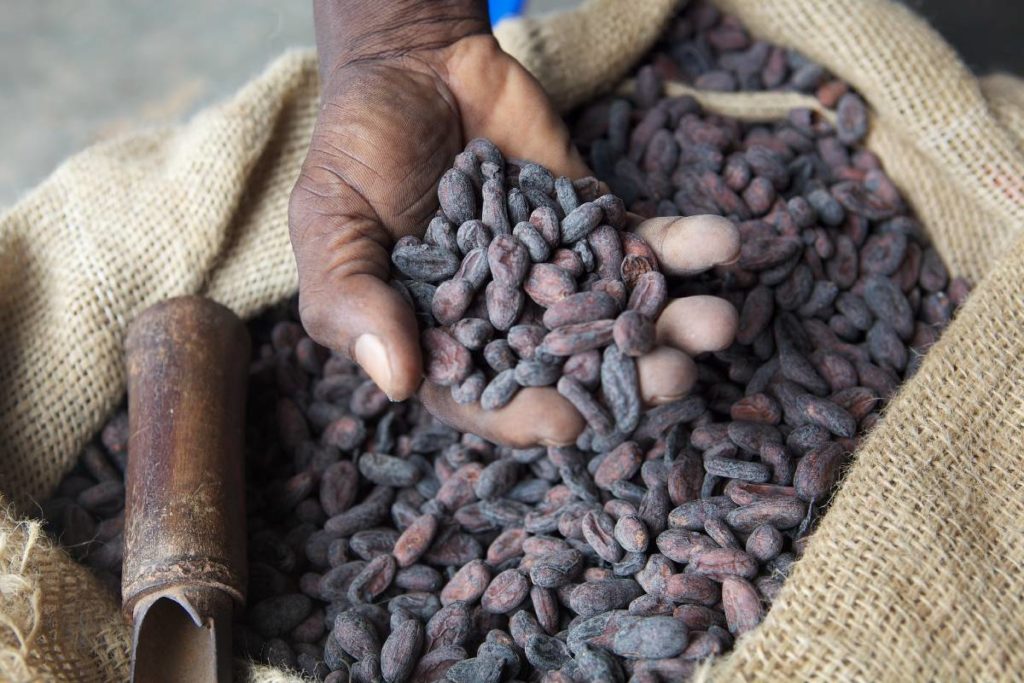 nigerian cocoa