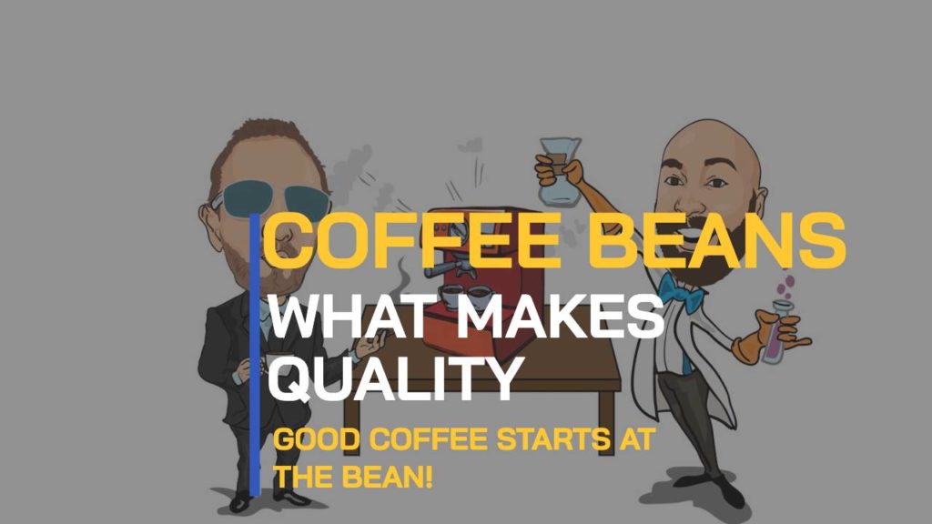 Coffee Bean Quality