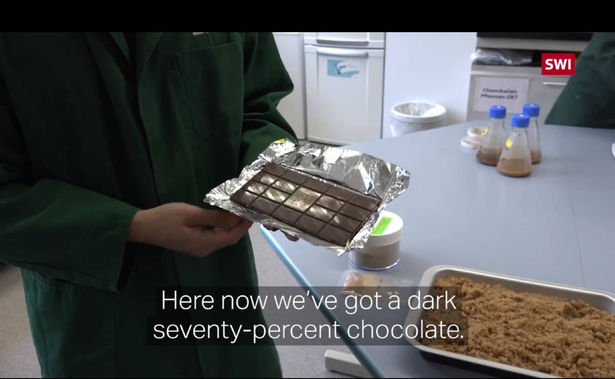 SWISS SCIENTISTS GROW A CHOCOLATE BAR IN THE LAB