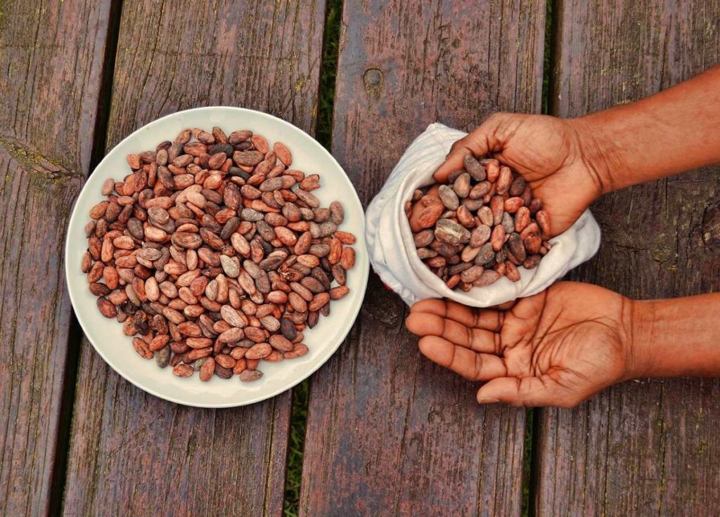 Cacao Currency