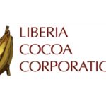 lcc liberia cocoa