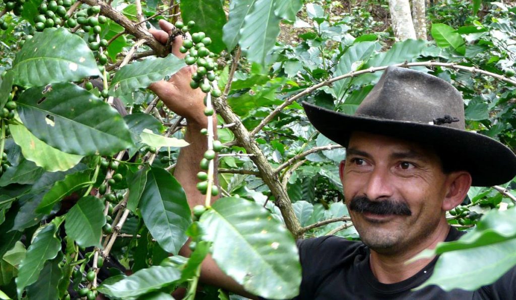honduran coffee farmer