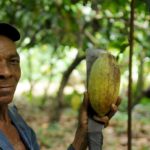 DOMINICAN REPUBLIC PLANS CASH BOOST TO PROMOTE COCOA