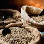 pervian coffee beans
