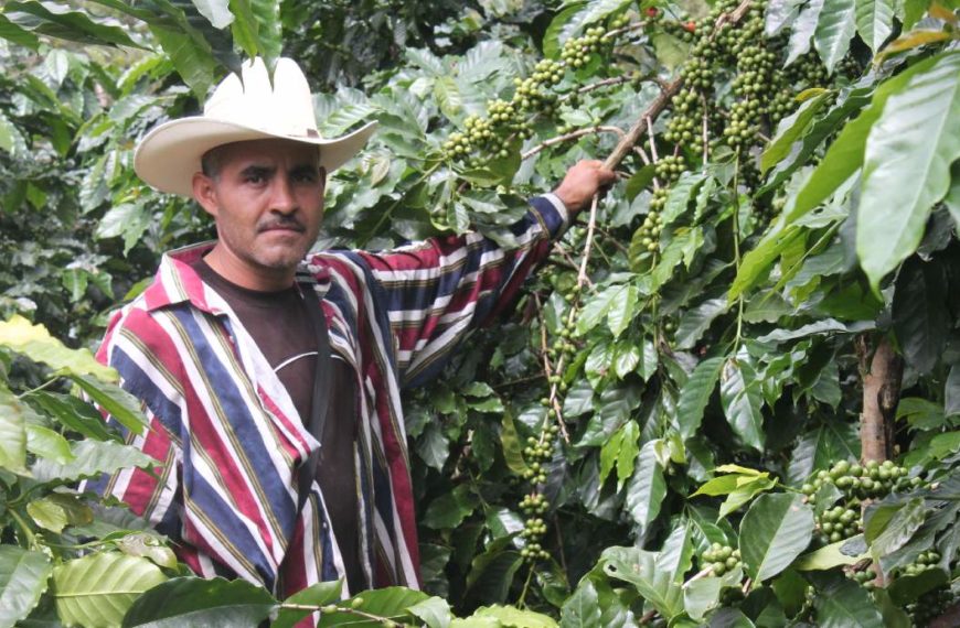 Guatemala coffee farmer