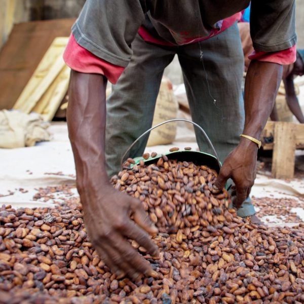 Cocobod Lobbies African Countries To Join Forces