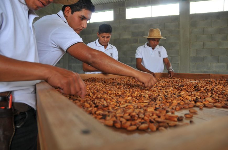 Catálogo de sabores: una valiosa herramienta de marketing para los exportadores de cacao centroamericanos