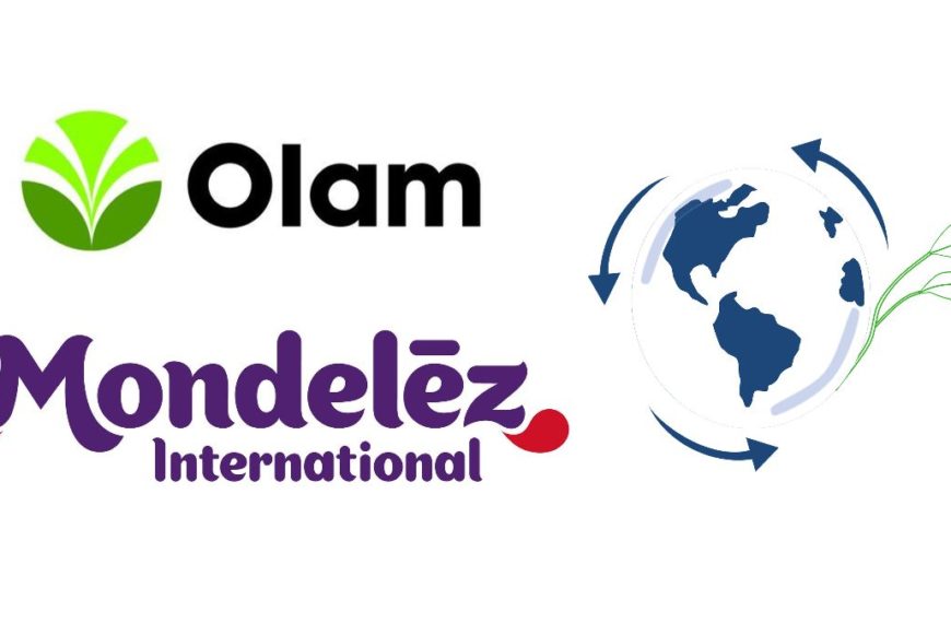 The Consequences Of Mondelez/Olam’s Project On Cocoa Farmers And Their Economies￼