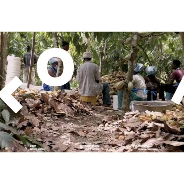 Évaluer la définition de la durabilité de Koa et le traitement de leurs agriculteurs partenaires￼