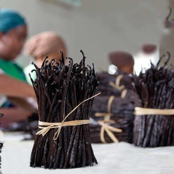 Barry Callebaut, Prova listo para la próxima fase de Cocoa Initiative en Madagascar