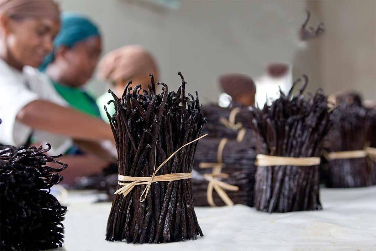 Barry Callebaut, Prova Ready For Cocoa Initiative à Madagascar