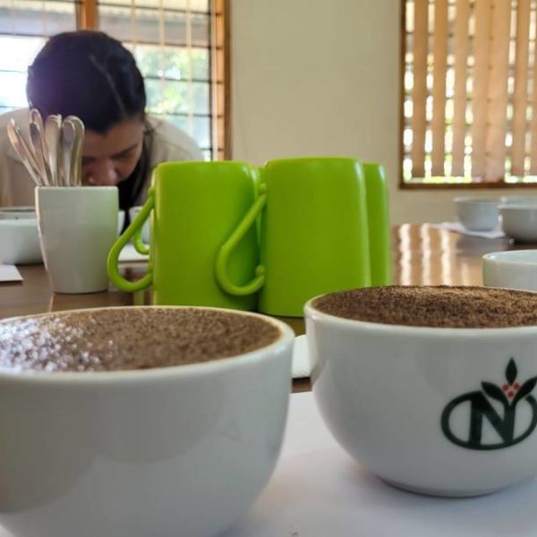 Cqi et Neumann Kaffee Gruppe pilotent une formation sur le Robusta en Ouganda