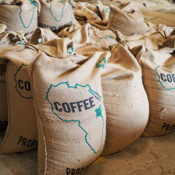 Sacs de café du Kenya
