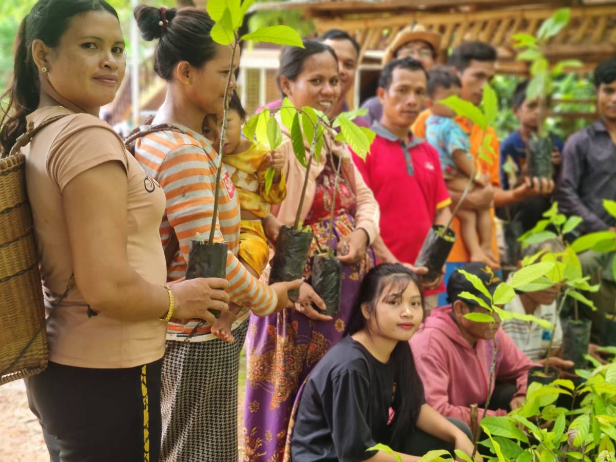 The Impact Of Cacao On Asian Tribes