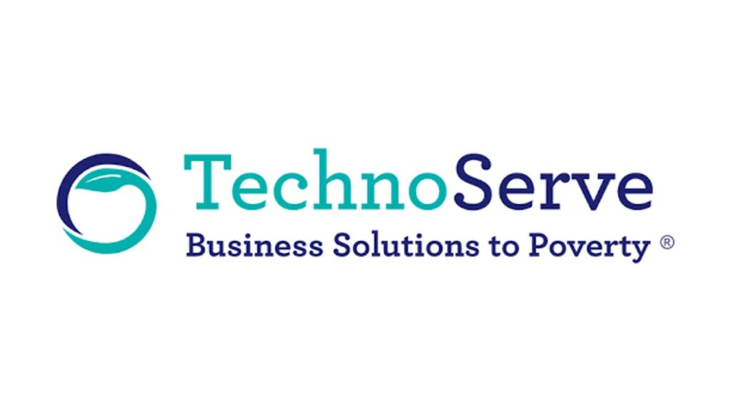 Technoserver Logo