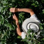 COLOMBIA AGING WORKFORCE IN THE COFFEE SECTOR