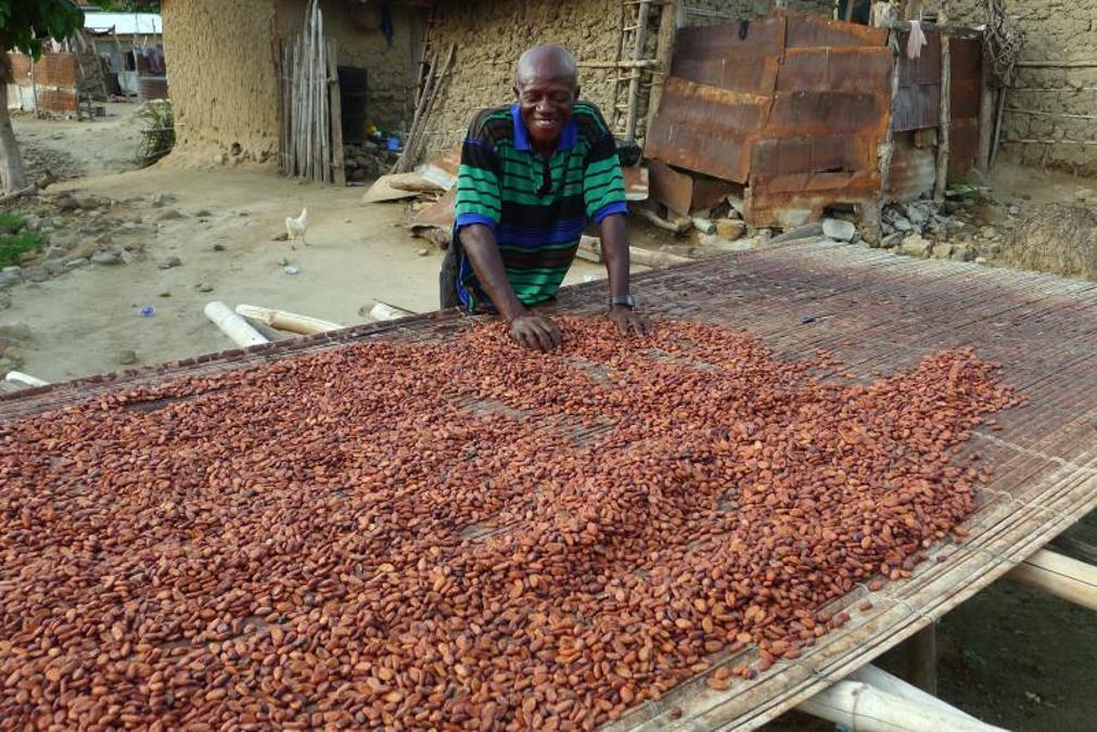 Cacao Côte D'Ivoire